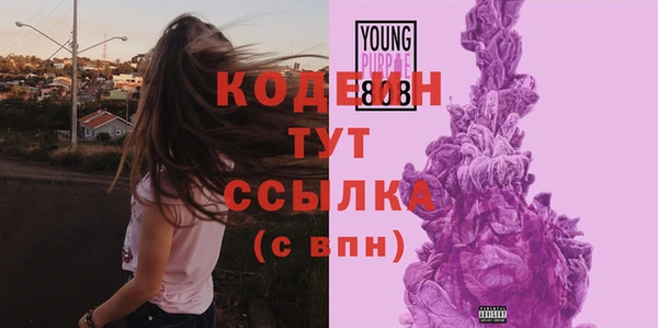 индика Заводоуковск