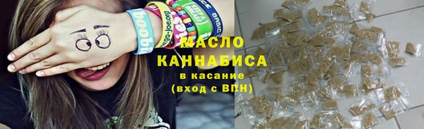 индика Заводоуковск