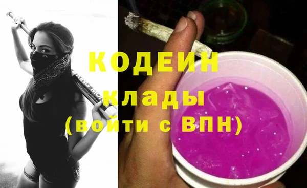 2c-b Дмитриев