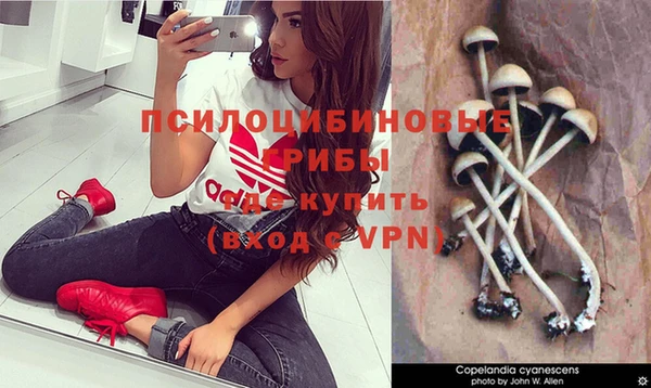 индика Заводоуковск