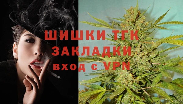 2c-b Дмитриев