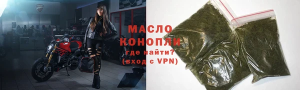 индика Заводоуковск