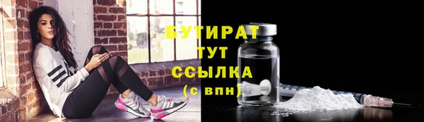 индика Заводоуковск