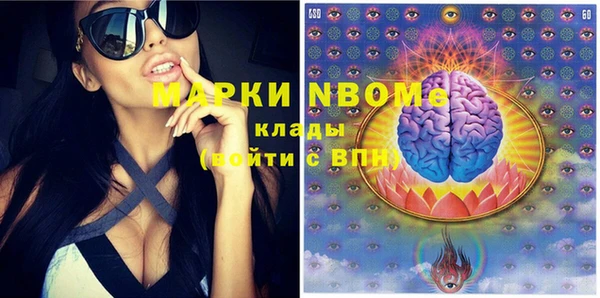 индика Заводоуковск