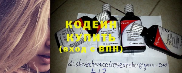 индика Заводоуковск