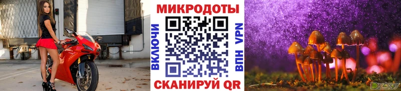 Галлюциногенные грибы MAGIC MUSHROOMS МЕГА ССЫЛКА Мышкин купить